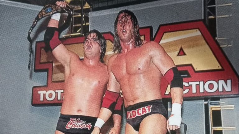 Top 10 Best Things About The TNA Asylum Era