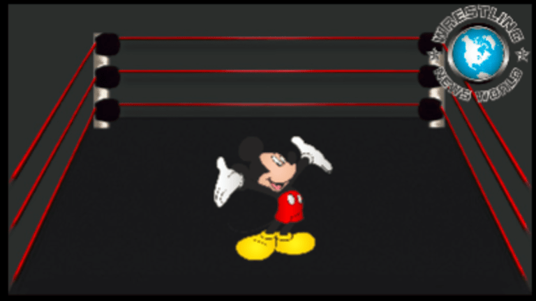 What If Disney Purchased The WWE?