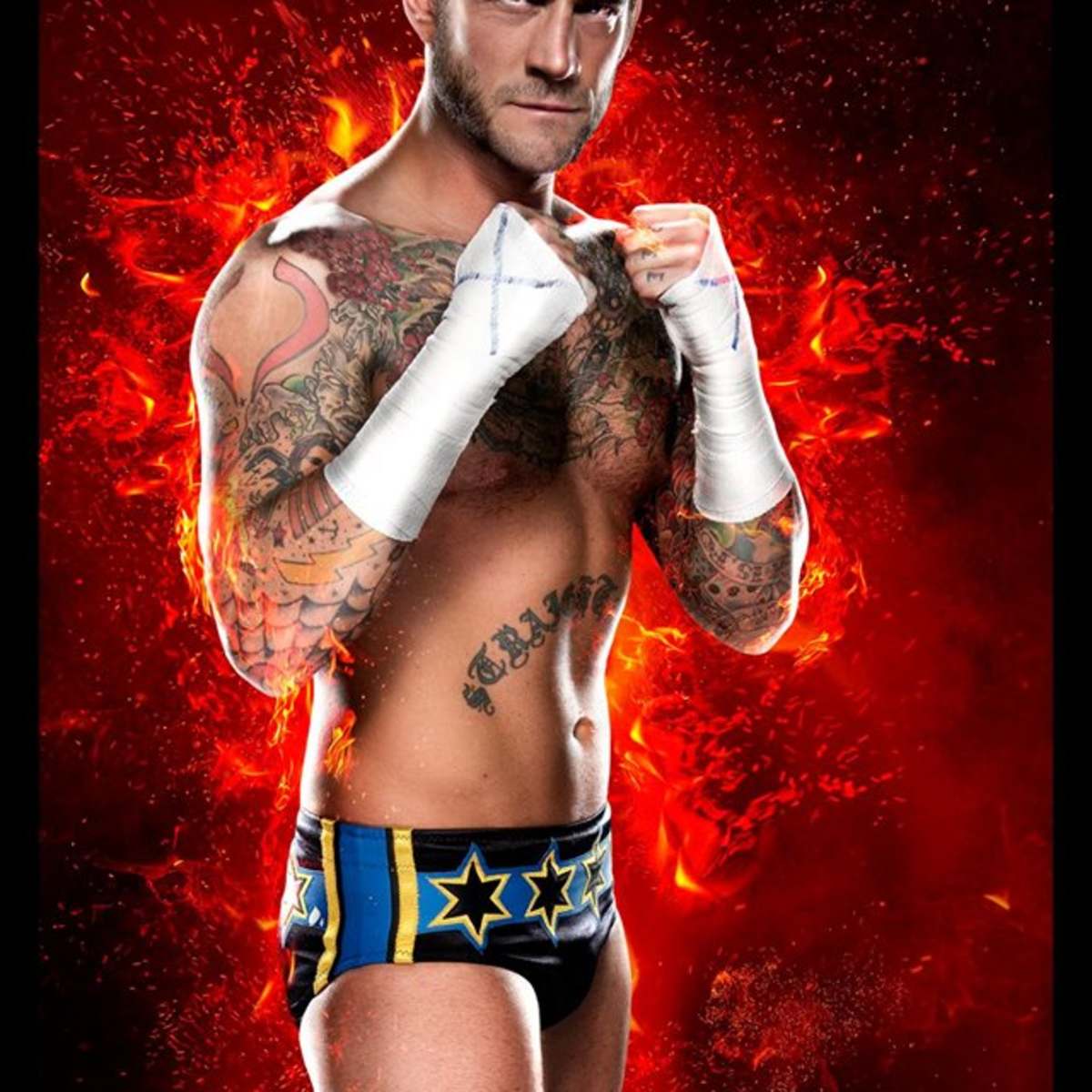 Cm Punk To Be Featured In Wwe 2k15 Wwe Wrestling News World