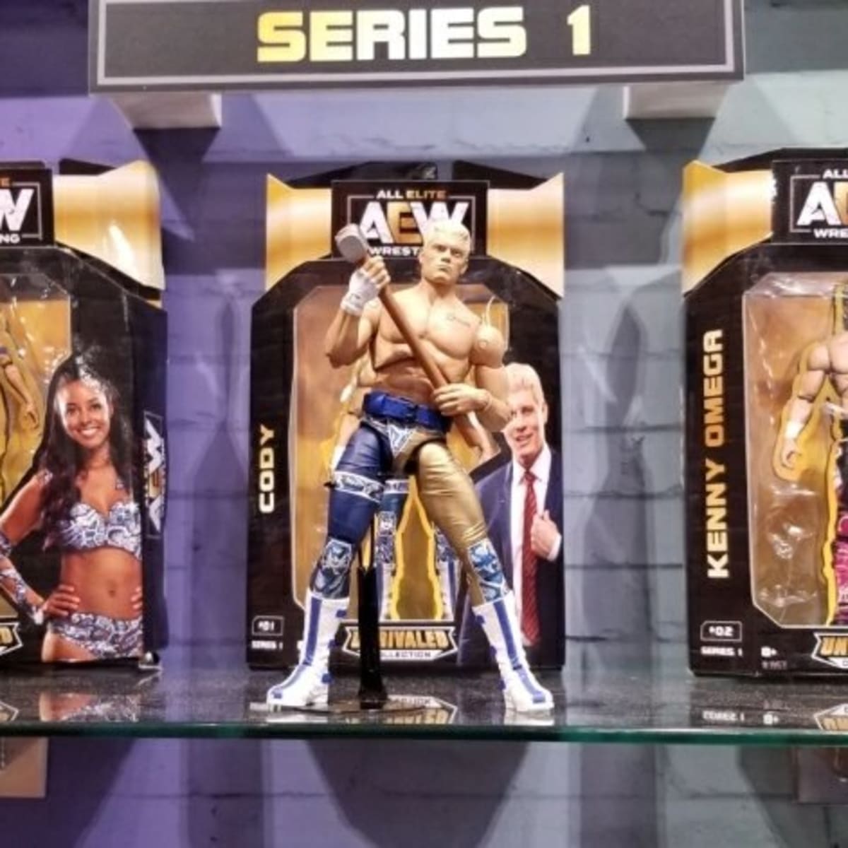 wwe action figure set up