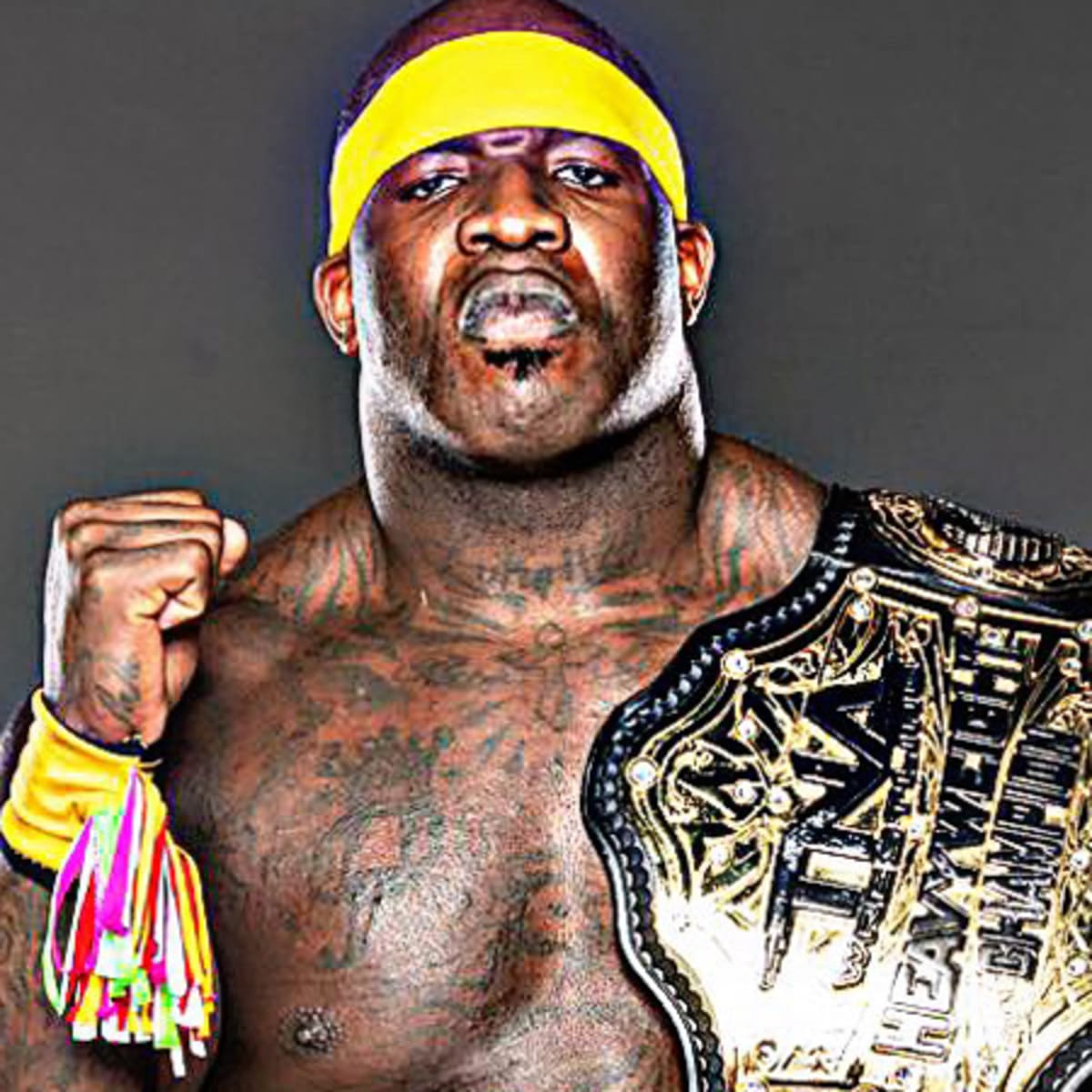 moose-tna-champion-impact-1.jpg