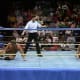 March_13%2C_1993_WCW_Saturday_Night_19