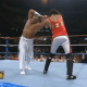 wwf_wwe_summerslam95_123kidhakushi