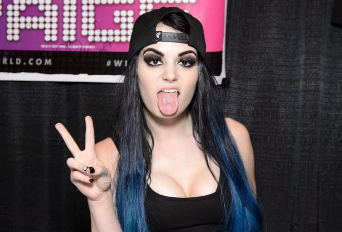 CHICAGO, IL - AUGUST 21: WWE Diva Paige attends Wizard World Comic Con Chicago 2015 at Donald E. Stephens Convention Center on August 21, 2015 in Chicago, Illinois. (Photo by Daniel Boczarski/Getty Images)