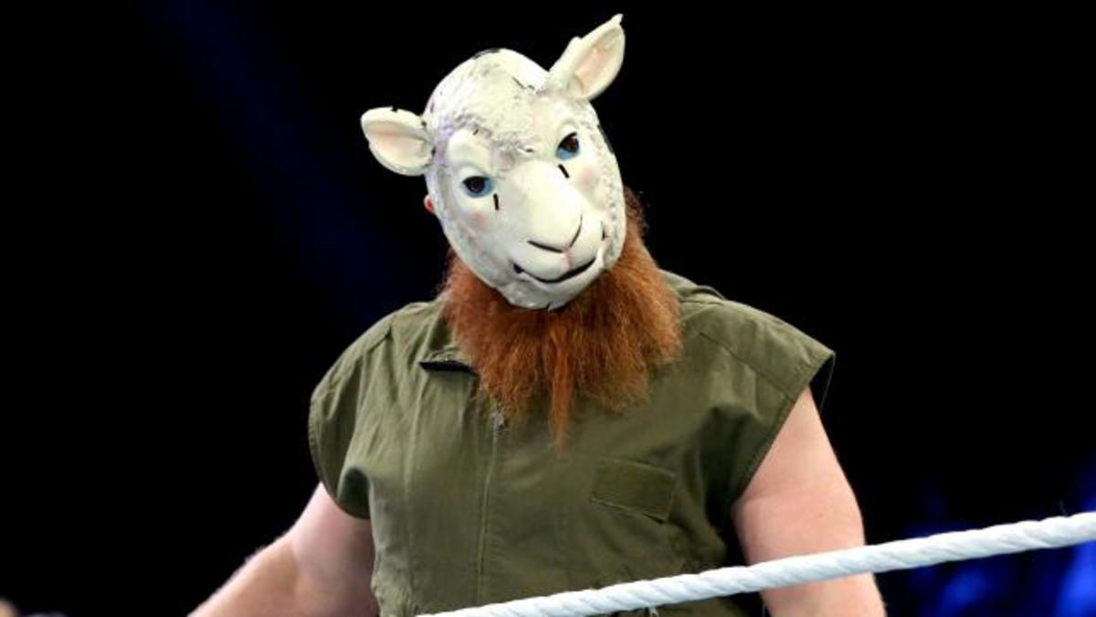 Erick Rowan Has Surgery, Del Rio Stabbed, Another UFC 204 Fight, TNA’s