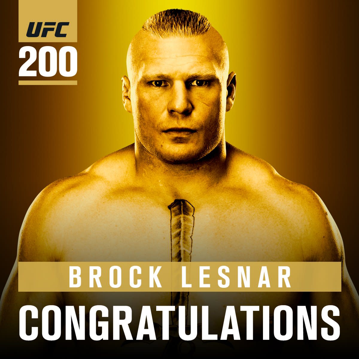 Brock Lesnar Beats Mark Hunt In Return At UFC 200 - WWE ...