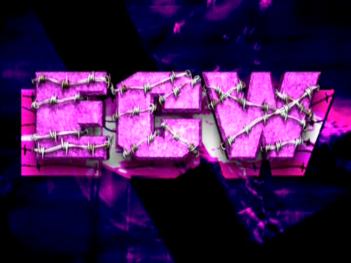 Extreme Indy Purple Logo | irokez-irodaszer.hu