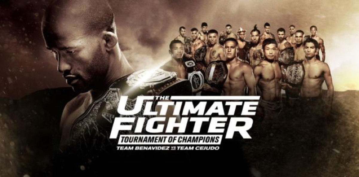 The Ultimate Fighter 24 Finale