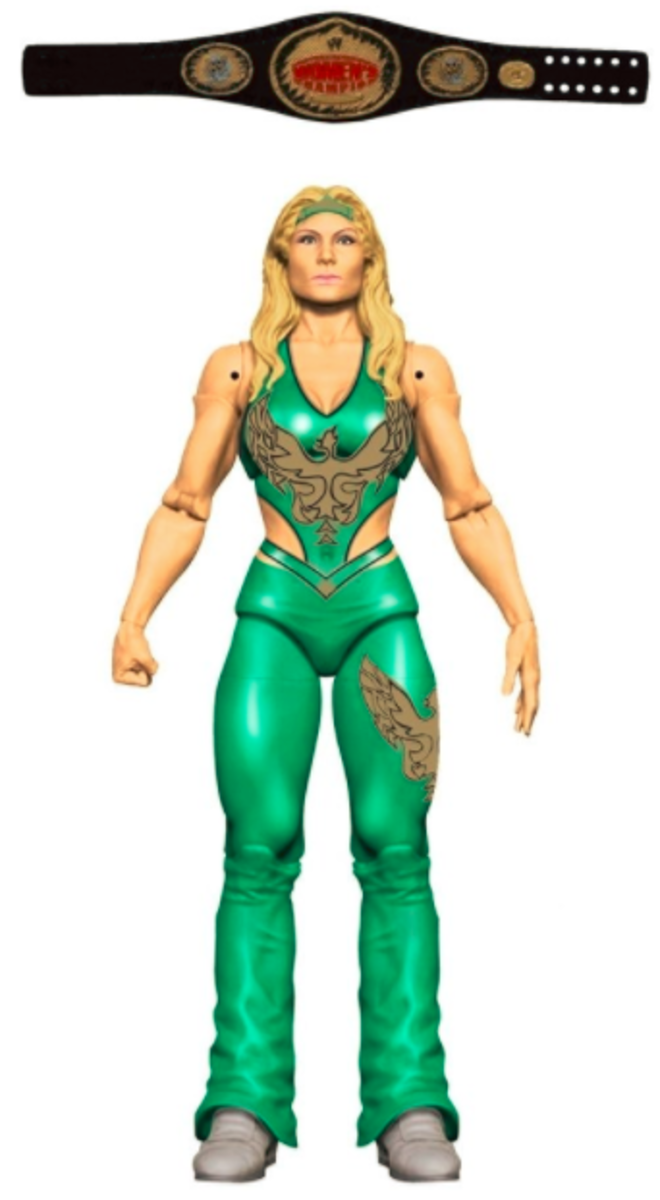 Wwe flashback on sale series 2